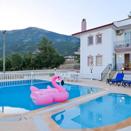 Paradise Villa *